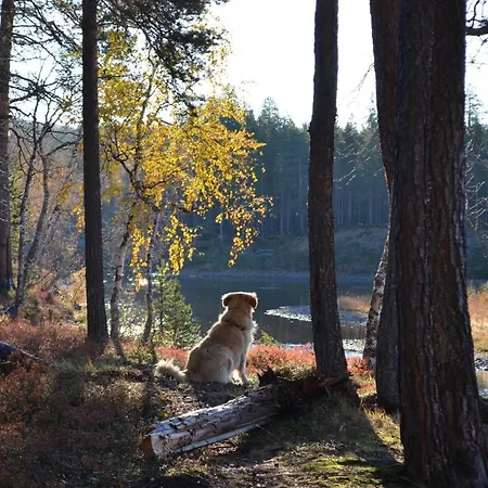 Castillo Kermikkae 5 * Saariselkä