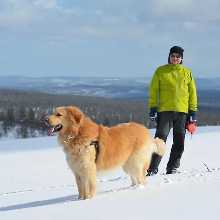 Castillo Kermikkae 5 * Saariselkä